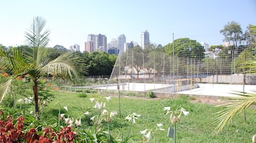 Alternativa gratuita de lazer na região da Lapa, na zona oeste de São Paulo, o parque Pelezão deve passar por reestruturação neste ano. Foto: Divulgação/Parque Pelezão