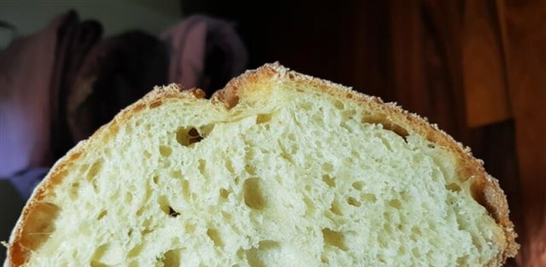 Pão de Altamura. Foto: Basilicata 