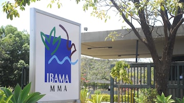 Ibama é o órgão federal responsável pela fiscalização ambiental no País. Foto: Sérgio Moraes/Ascom/AGU