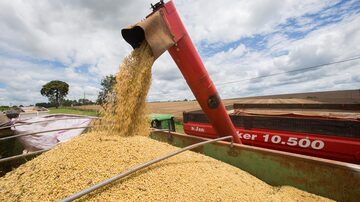 Queda no preço dos grãos afetou a saúde financeira dos produtores que reduziram os negócios com terras em 2023