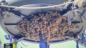Invasão de abelhas em Indian Wells. Foto: Reprodução X/@firstservetnnis