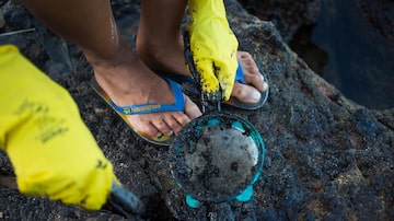 Voluntário usa peneira de cozinha para limpar vazamento de petróleo da praia. Foto: TIAGO QUEIROZ / ESTAD?O
