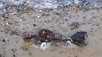 Homem diz ter visto cadáver de sereia em praia. Foto: Reprodução/Facebook