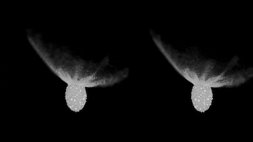 Simulação da pluma de destroços do asteroide. Foto: Raducan et al., Nature