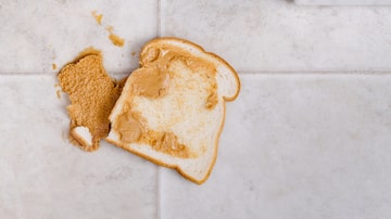 Dropped peanut butter sandwich on kitchen floor. Foto: Kevin Brine/Adobe Stock