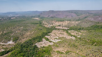Área de Cerrado em Goiás; projeto visa incentivar preservação do bioma. Foto: Moisés Muálem / WWF Brasil