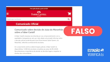 Site falso imita loja da Faber-Castell. Foto: Reprodução