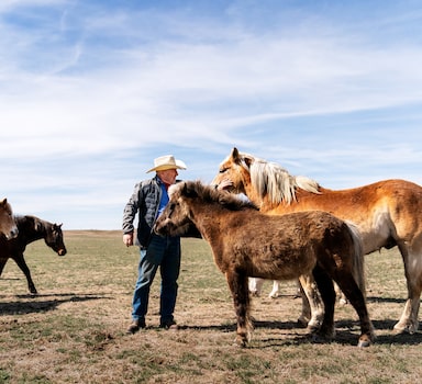 Ed Butcher acaricia um de seus cavalos em um campo a quilômetros da instalação de lançamento do Minuteman III, localizada em seu rancho no condado de Fergus, Montana