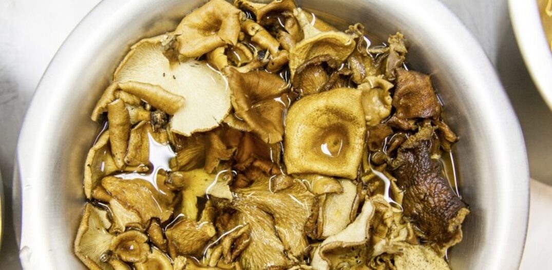 Mix com mais de dez espécies de cogumelos, que fazem parte da dieta dos índios Sanöma. Foto: Rubens Kato|Divulgação 