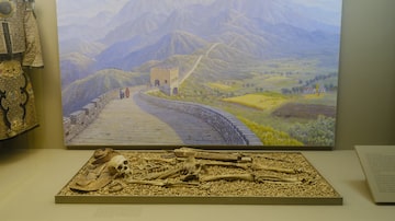 O Museu Americano de História Natural decidiu remover todos os restos humanos da exposição, como este esqueleto exibido na reconstrução de um enterro de um guerreiro da Mongólia em cerca de 1000 d.C. Foto: American Museum of Natural History