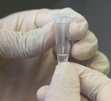 Farmacêuticas estão em fase de produção da vacina contra o coronavírus