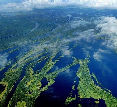 Carbono da Amazônia se concentra em áreas protegidas e aldeias
