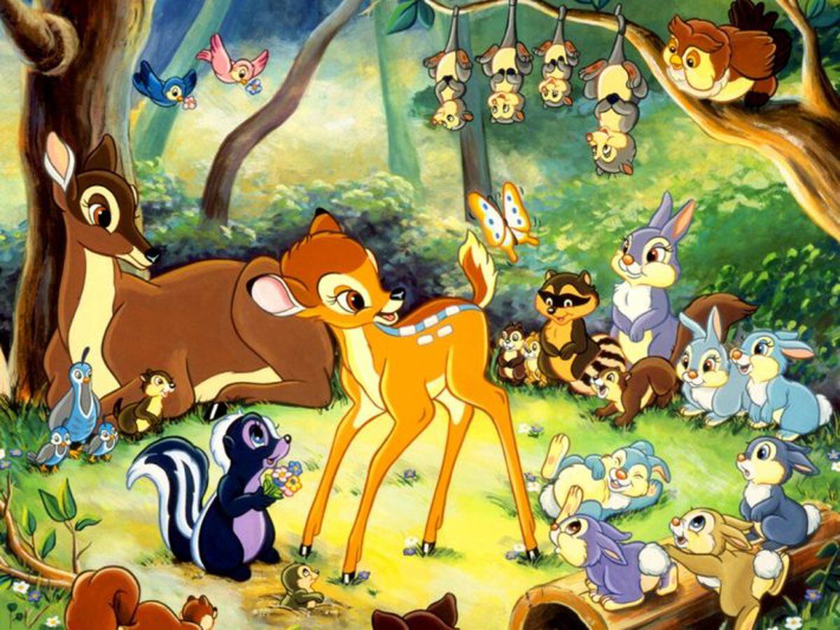 Diretor de terror do Ursinho Pooh fará versão assustadora de Bambi: 'Será  uma máquina de matar' - Estadão