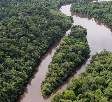 Imagem aérea da Rio Amapari, nos limites da Renca. A região é uma das mais bem preservadas da Amazônia