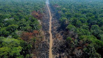 (FILES) This file photo taken on September 16, 2022, shows a deforested and burnt area of the Amazon rainforest on a stretch of the BR-230 (Transamazonian highway) in Humaitá, Amazonas State, Brazil. - Deforestation in Brazil's Amazon rainforest in the first quarter of 2023 was one of the worst on record, according to official figures released on April 7, 2023. Those figures show the scale of the task facing leftist President Luiz Inacio Lula da Silva, just 100 days into his return to power. (Photo by MICHAEL DANTAS / AFP). Foto: Michael Dantas/AFP